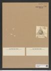 Triceratium robustum Grev. (de-Toni-Nr.: Genus 140, Species 3796) Zeichnungen Sammlung Grunow Nr. 7300 (NHMW-BOT-W0376326)